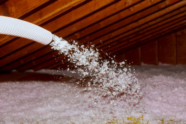 Professional Insulation Contractor in Cedar Rapids, IA